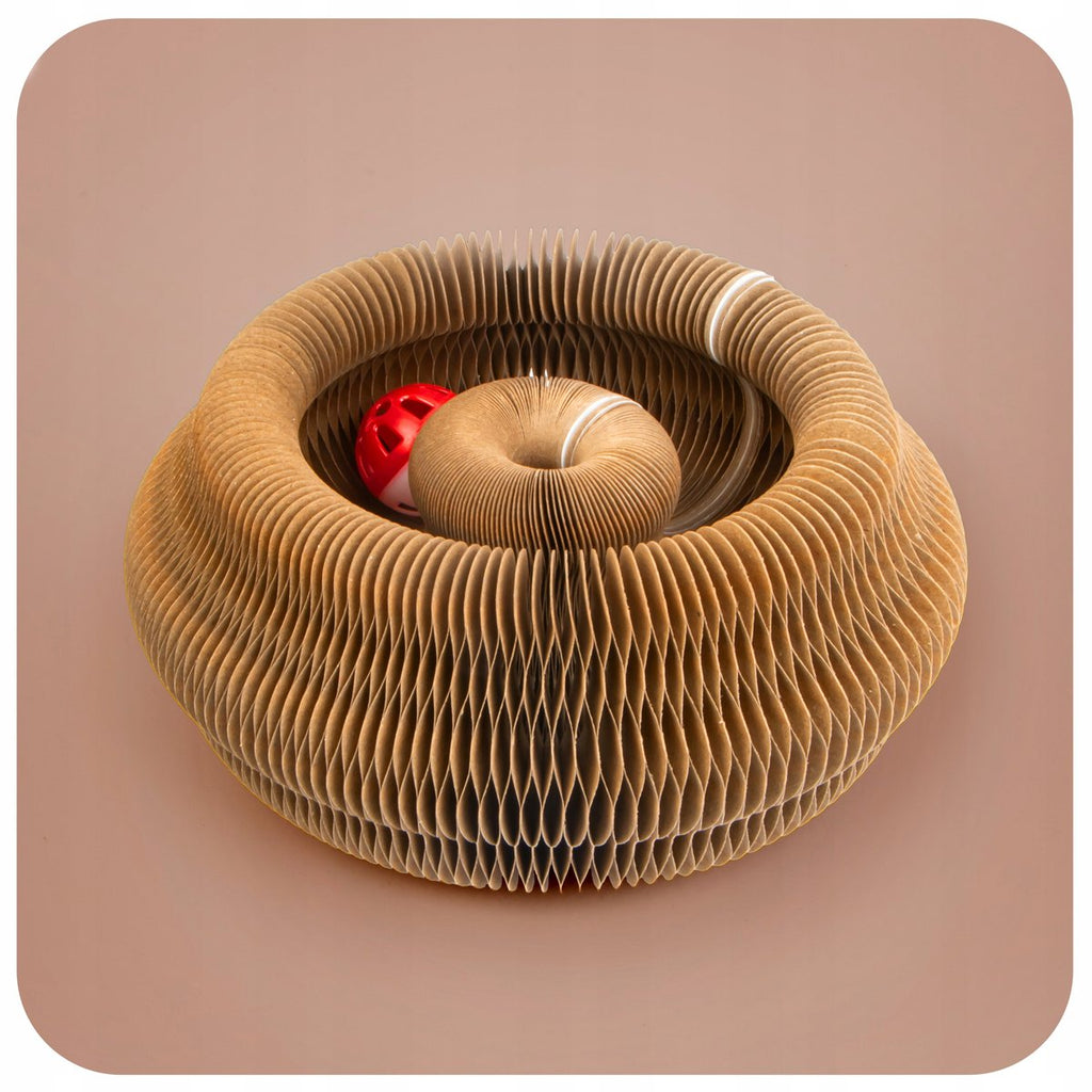 Magic Organ Cat Scratch Plate