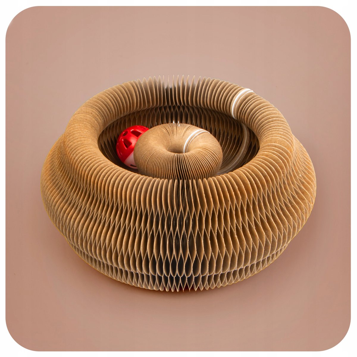 Magic Organ Cat Scratch Plate