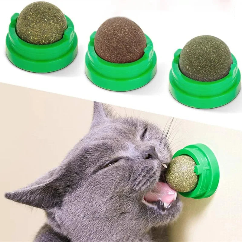 Catnip Wall Balls