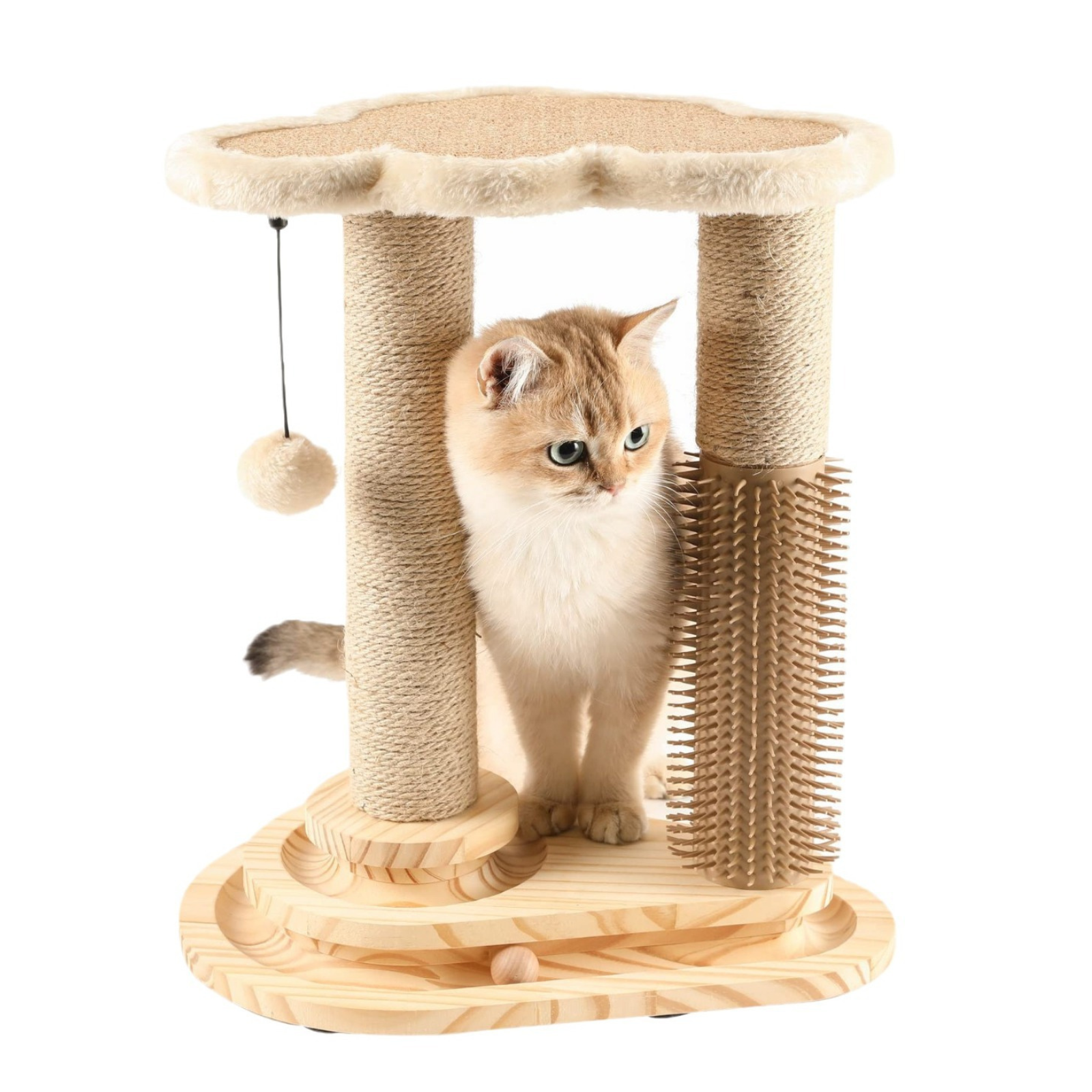 Cat Scratching Post & Play Center