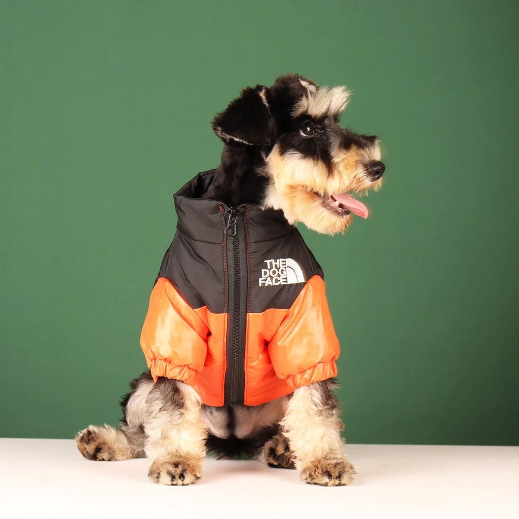 Windproof Dog Jacket