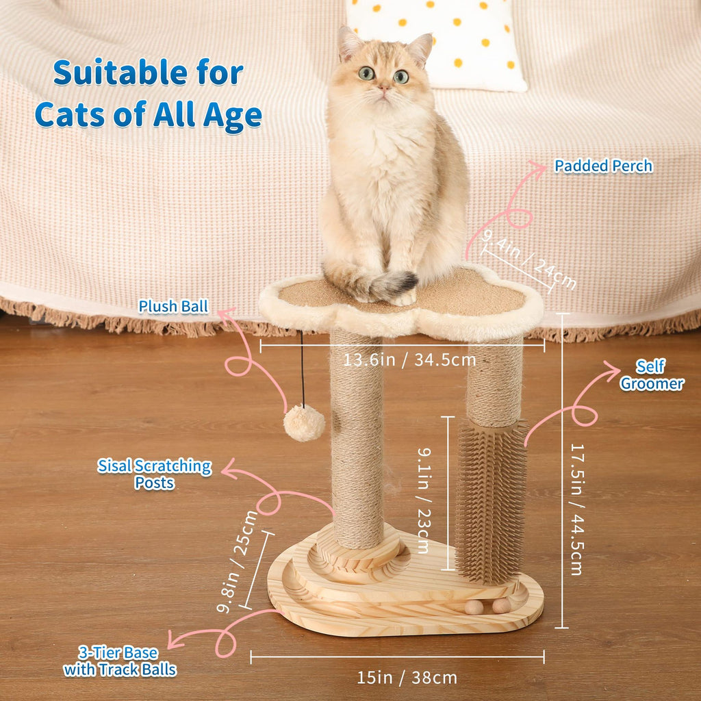 Cat Scratching Post & Play Center