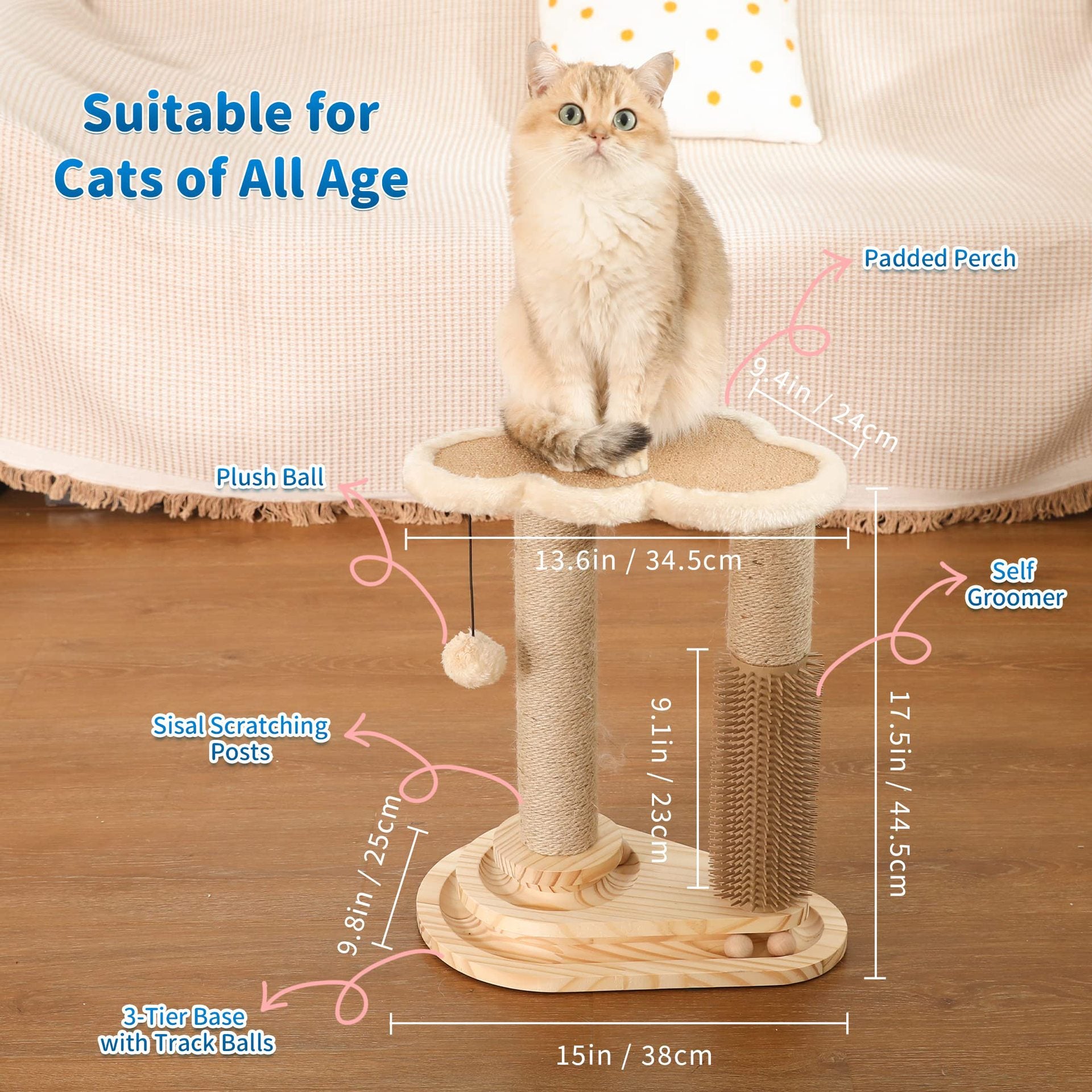 Cat Scratching Post & Play Center