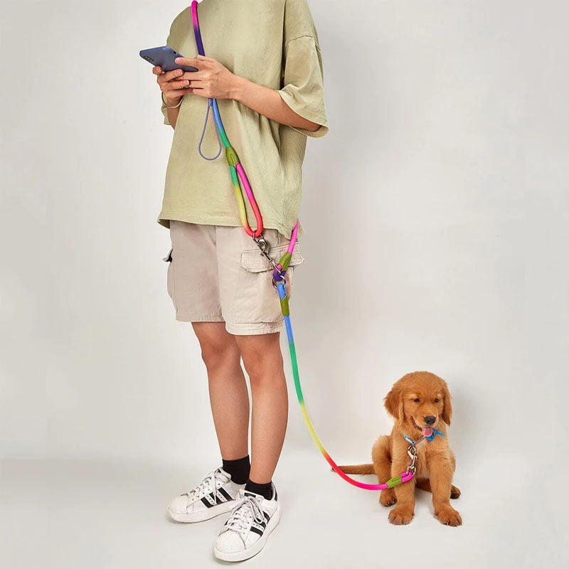 Premium Reflective Nylon Dog Leash