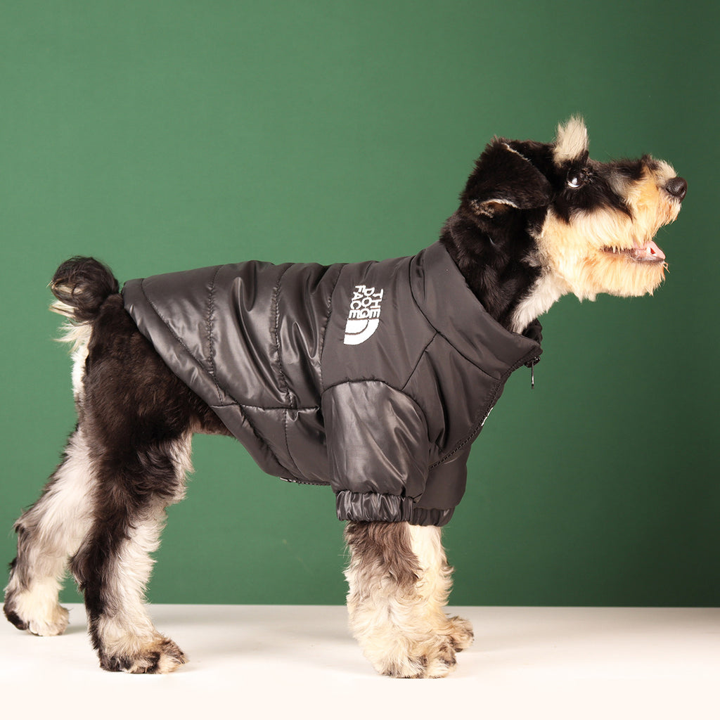 Windproof Dog Jacket