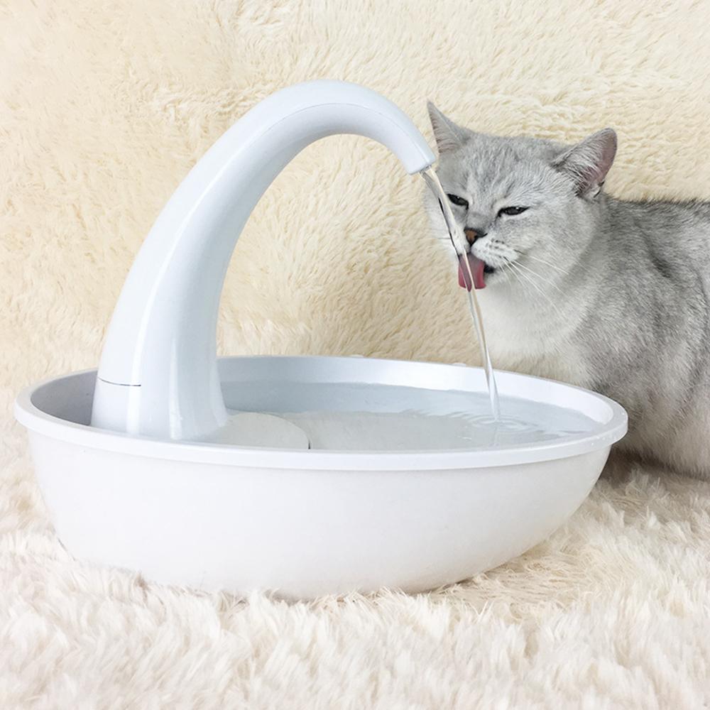 Cat Drinking Fountain