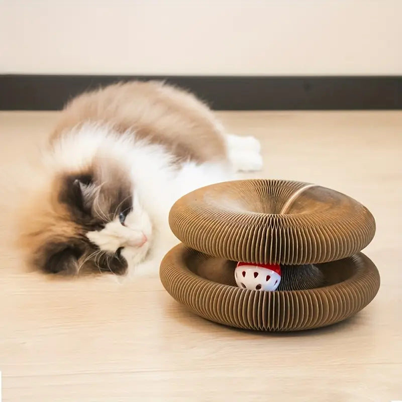 Magic Organ Cat Scratch Plate