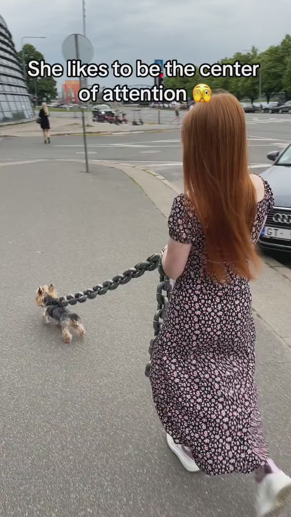 Funny Dog Chain Leash